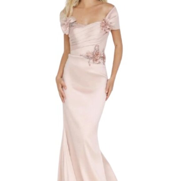Terani Couture Dresses & Skirts - NWT Terani Couture 2021M2969 Shawl Sleeves Mother of Bride Dress Rose Size 10
